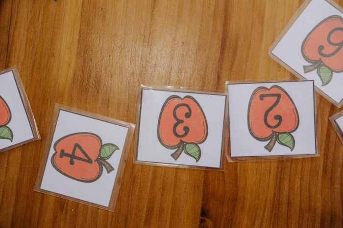 7. Sınıf İngilizce Deneme Sınavı Hazırlığı